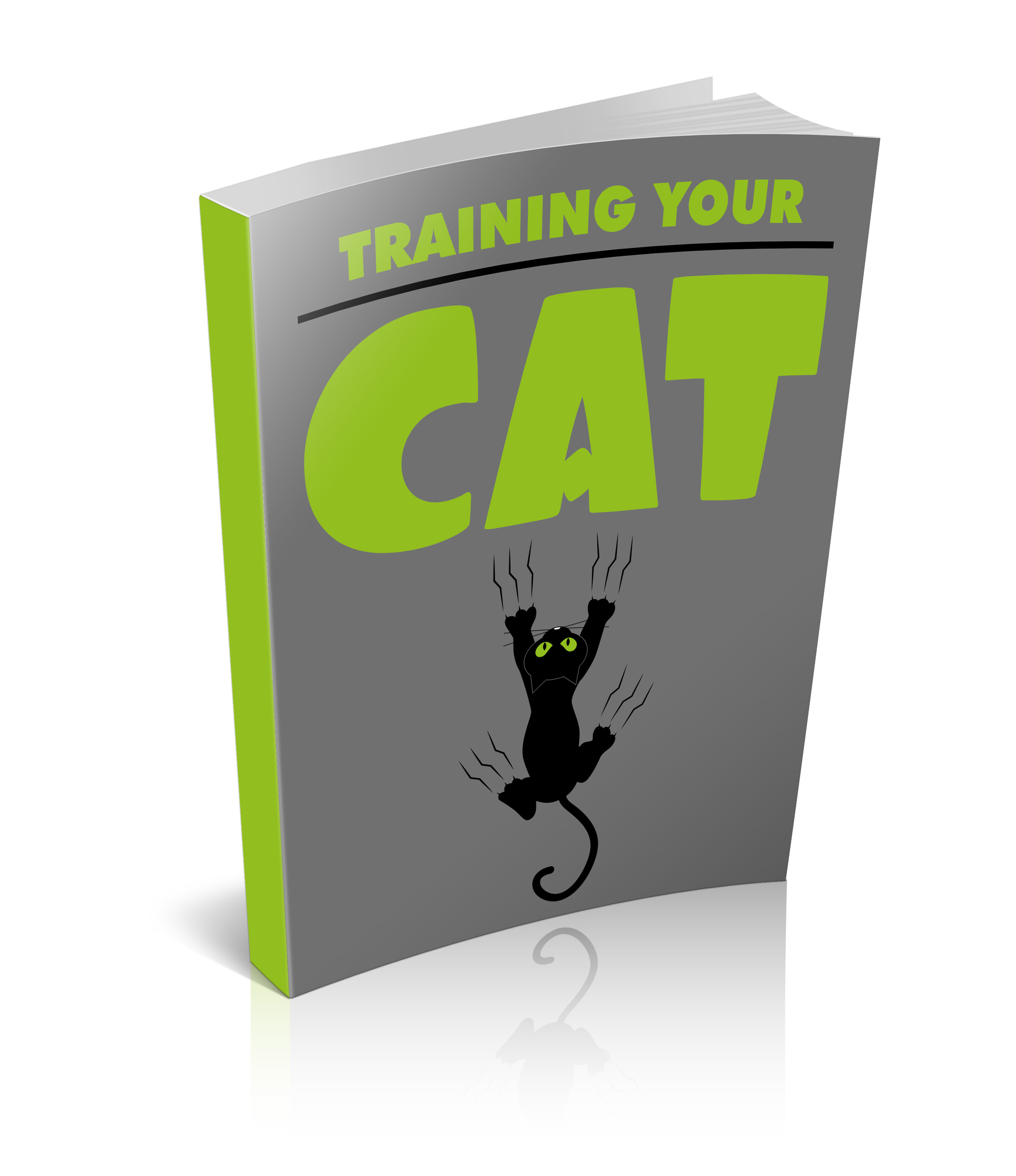 Training your cat ecover
