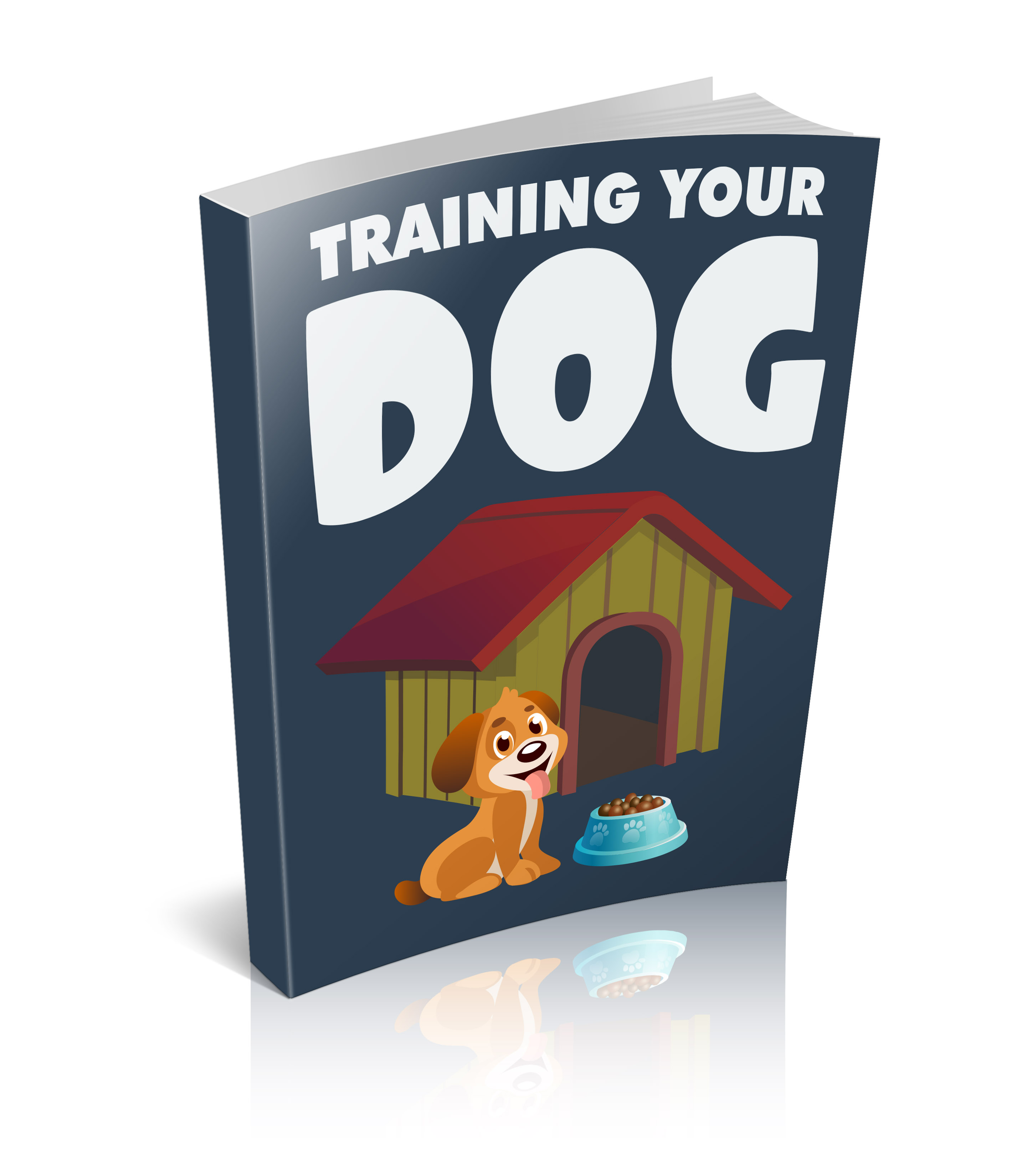 training your dog ecover